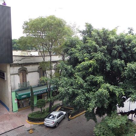 Hostel 399 Conejos Y Yo Mexico City Luaran gambar